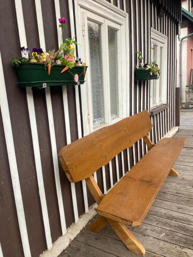 Vila Adelka - Utulna Chalupa V Krkonosich Горни-Маршов Экстерьер фото
