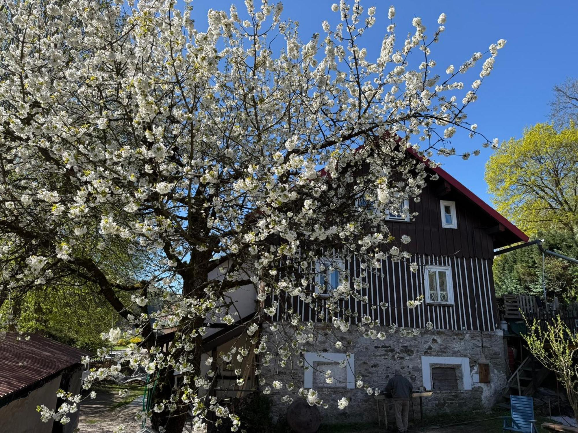 Vila Adelka - Utulna Chalupa V Krkonosich Горни-Маршов Экстерьер фото