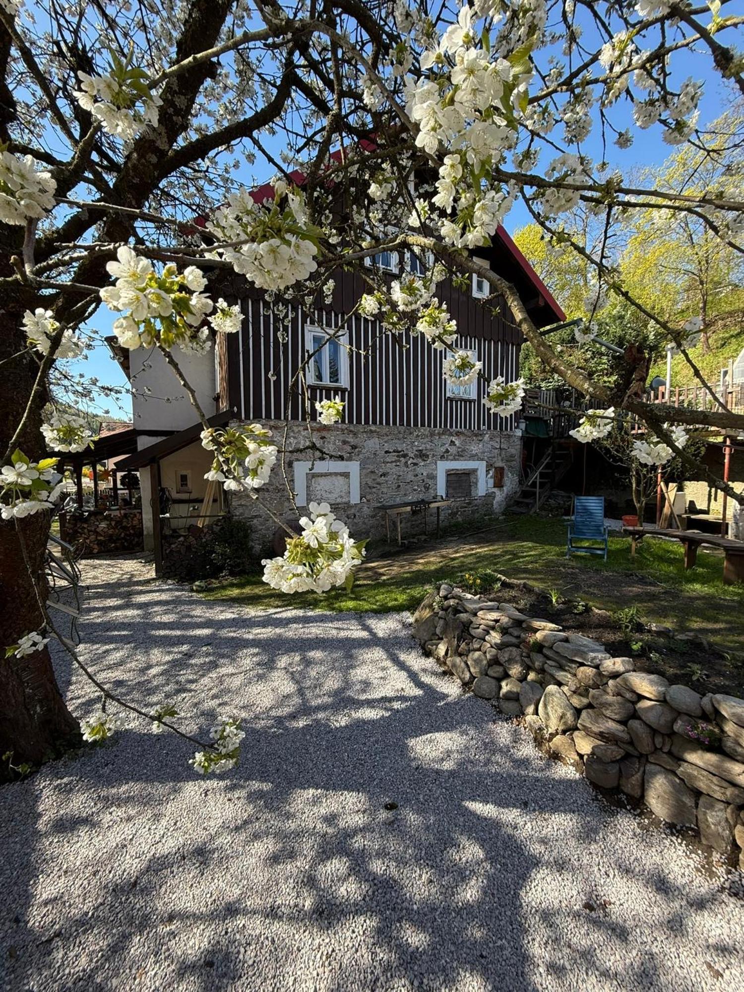 Vila Adelka - Utulna Chalupa V Krkonosich Горни-Маршов Экстерьер фото